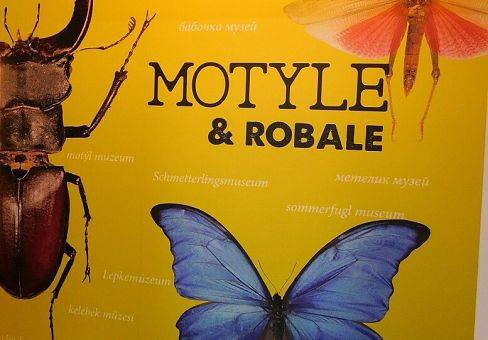 Butterfly Museum (Łeba)