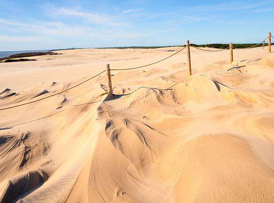 Grafika Shifting Dunes