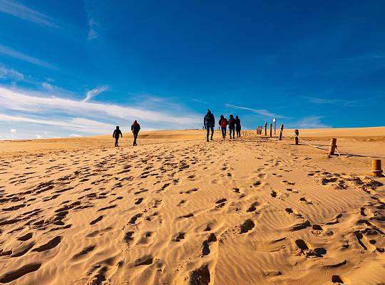 Grafika Łącka Dune