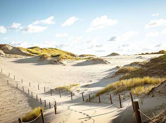 Grafika Shifting Dunes in SPN