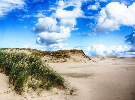 Grafika Słowiński National Park