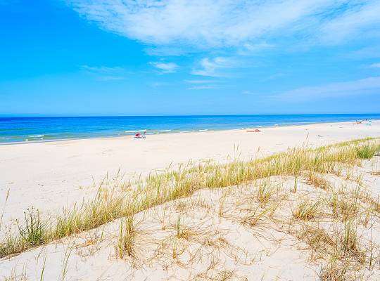 Grafika Golden beaches