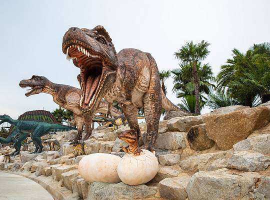 Grafika Łeba Park – Dinosaur Park (Nowęcin)