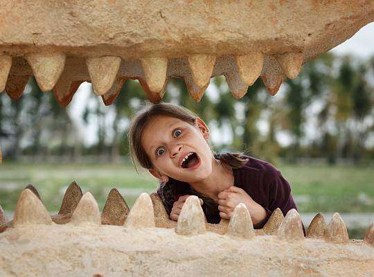 Grafika Dinosaur Park