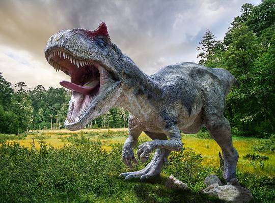 Grafika The country's largest dinosaur park