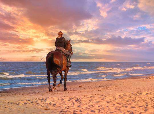 Grafika Horseback riding on the Baltic coast