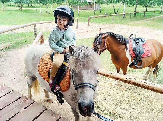 Grafika Horse riding lessons