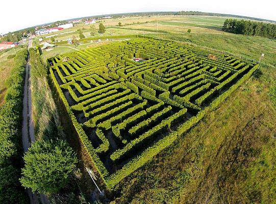 Grafika Poland's largest natural hedge maze