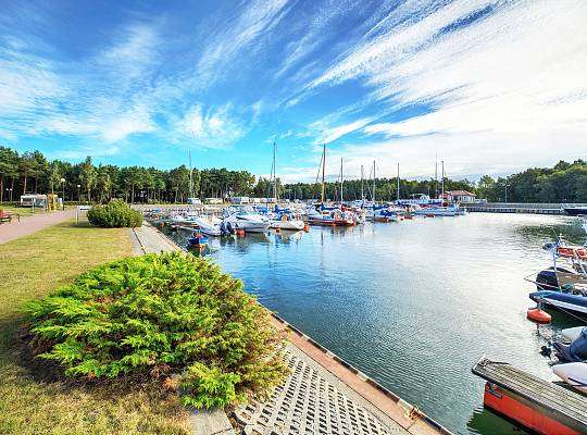 Grafika Yacht harbor