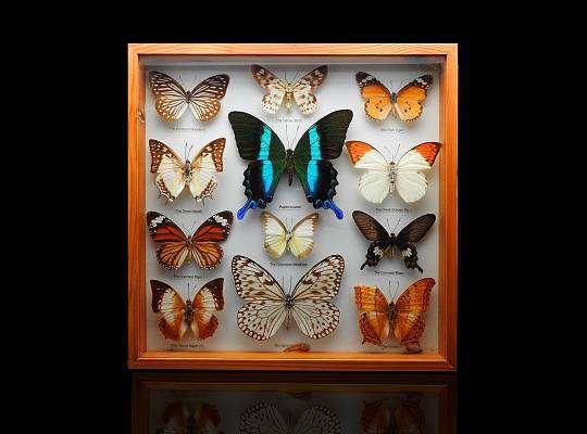 Grafika Permanent exhibition