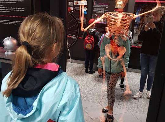 Grafika nteractive Exhibition in Łeba