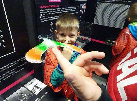 Grafika Illuzeum Łeba