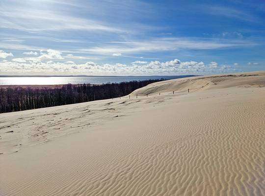 Grafika Lake Łebsko Słowiński National Park
